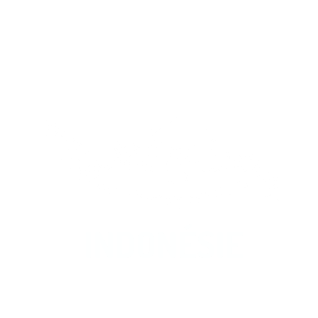 carte de l'Indonésie